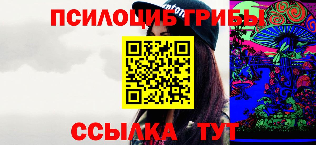 Галлюциногенные грибы MAGIC MUSHROOMS  Вход с VPN  Куйбышев  Галлюциногенные грибы Cubensis 