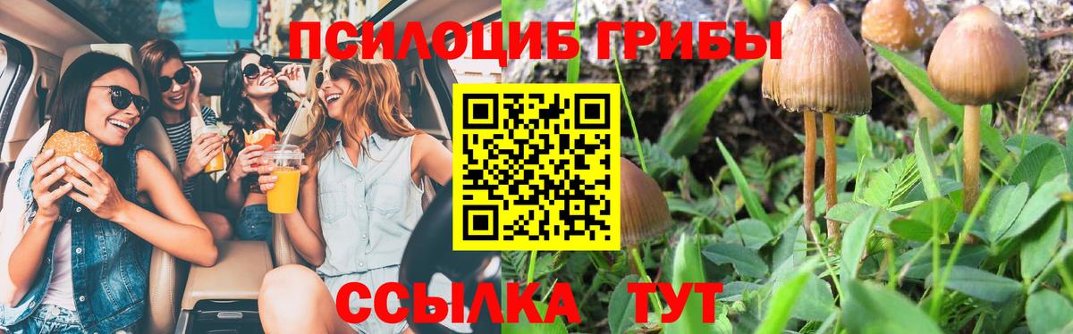 Галлюциногенные грибы GOLDEN TEACHER Куйбышев